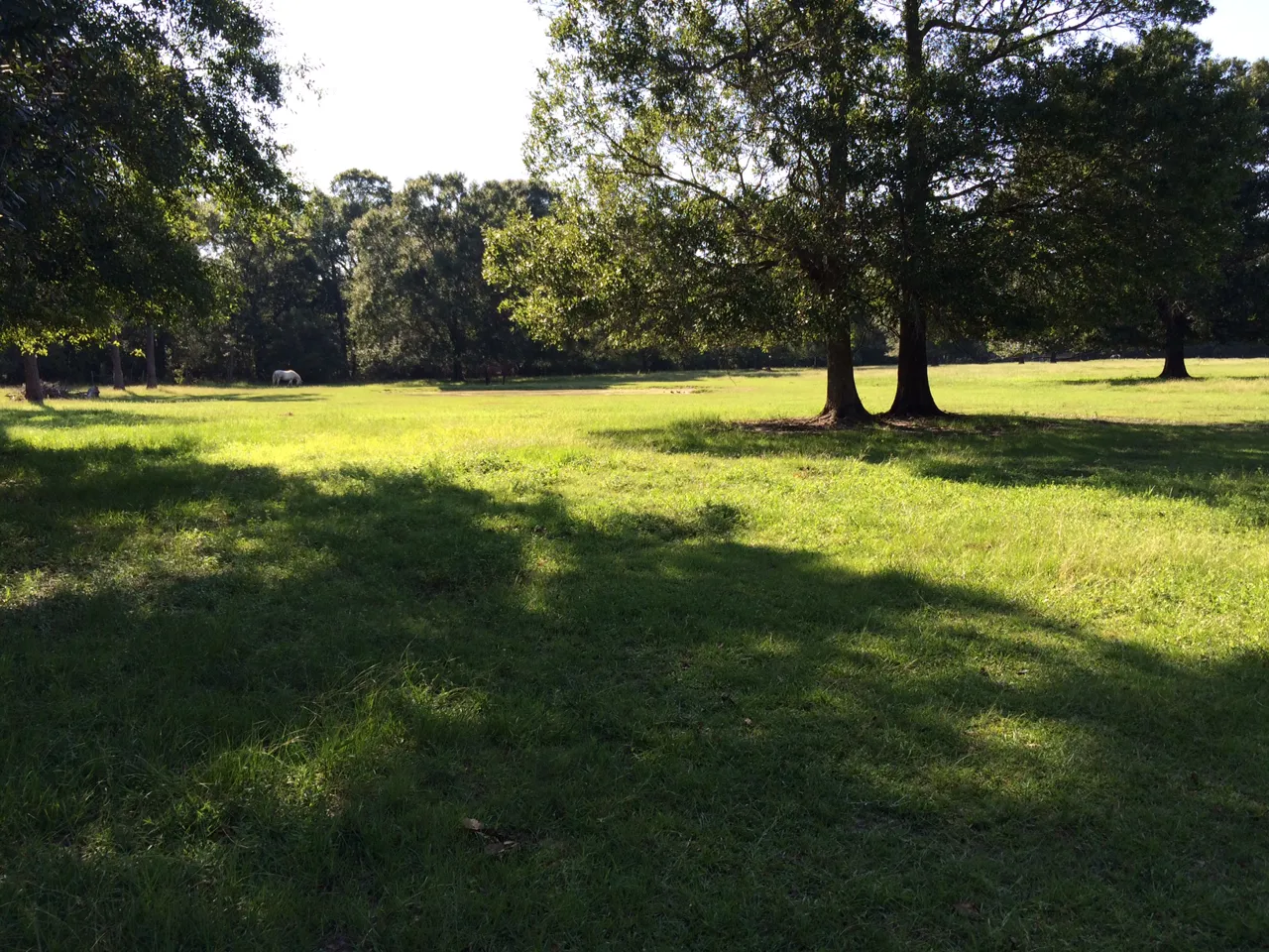 Columbia SC farm and acreage for sale