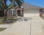 21535 Pepperberry Trail, Spring image
