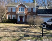 304 Pine Ct, Selbyville image
