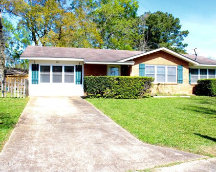 607 Dina Drive, D'Iberville