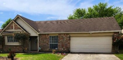 13315 Lake Breeze Lane, Willis