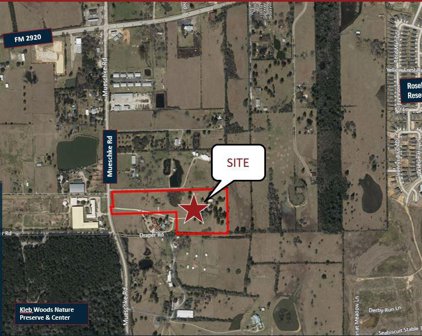 21550 + 21554 Mueschke Road, Tomball
