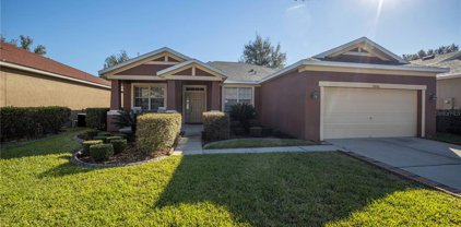 10906 Holly Cone Drive, Riverview