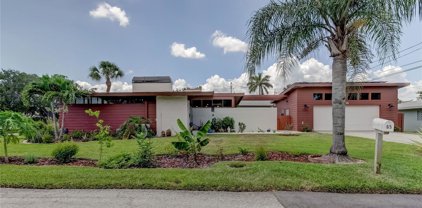 65 Verbena Street, Clearwater Beach