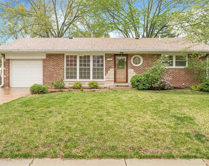1310 Dallwood  Drive, St Louis