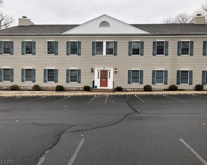 1124 Rt 202, Raritan Boro