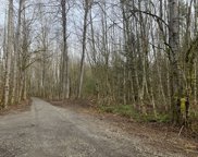 NE 82nd AVE, Battle Ground image