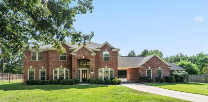 29734 Orchard Grove Drive, Tomball