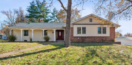 1008 Amsterdam  Drive, Ballwin