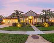 4559 Whimbrel Place, Winter Park image