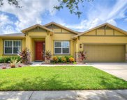 15715 Starling Water Drive, Lithia image
