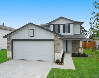 11720 Whirlaway Drive, Willis