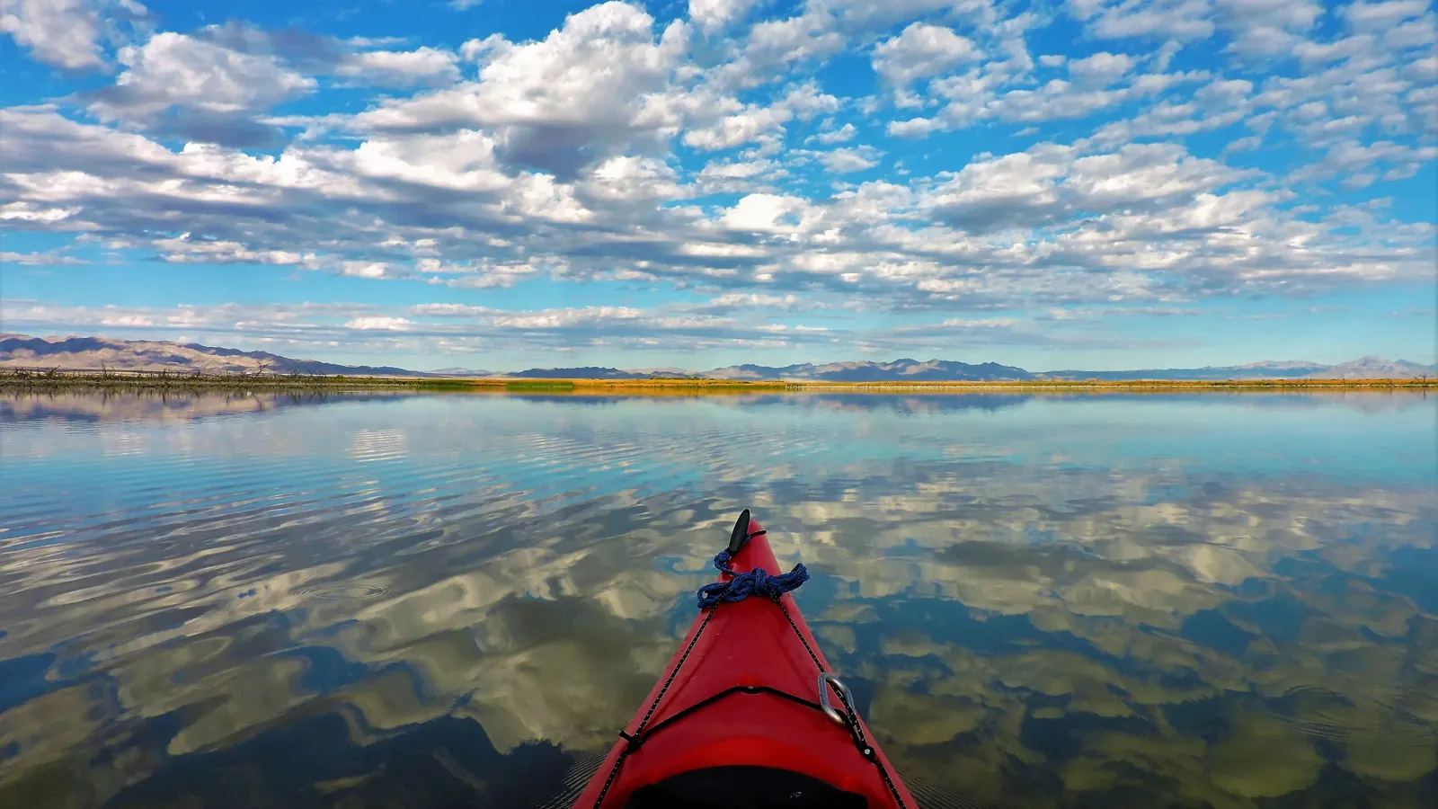 Wetland and mountain scenery in the Havasu National Wildlife Refuge area