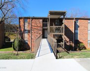 447 Canberra Drive Unit 117, Knoxville image