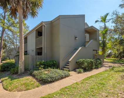 119 Woodland Place, Osprey