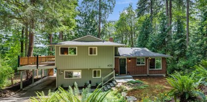 430 SW Forest Place, Issaquah