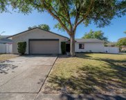 7813 River Ridge Drive, Temple Terrace image