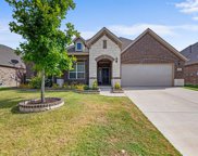 1005 Basket Willow  Terrace, Fort Worth image