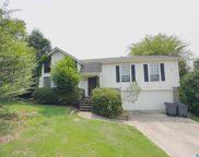5543 Spanish Trace, Pinson image