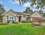 11602 Sun River Court, Tomball image