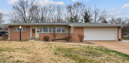 2 Filly  Court, Florissant