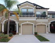 11438 Crowned Sparrow Lane, Tampa image