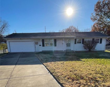 11 Saint Anthony  Court, St Charles