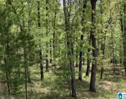 360 Gray Fox Road Unit 15 & 16, Springville image