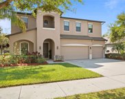 1933 Haven Bend, Tampa image