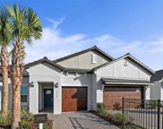 16575 Shell Bay Drive, Land O' Lakes image