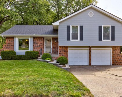 913 Dunwich Drive, Liberty