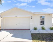 7833 Carriage Pointe Drive, Gibsonton image