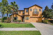 32523 Summerglade Drive, Wesley Chapel image
