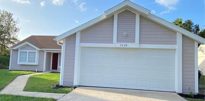7239 Gray Shadow Court, Orlando