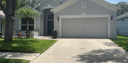 721 Sand Ridge Drive, Valrico