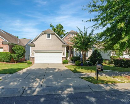 54029 Flycatchers  Court, Indian Land