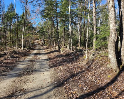 Foxboro Road, Lovell