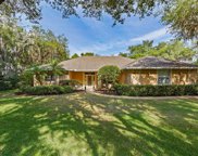 11520 Nellie Oaks Bend, Clermont image