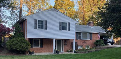 6723 Deland Dr, Springfield