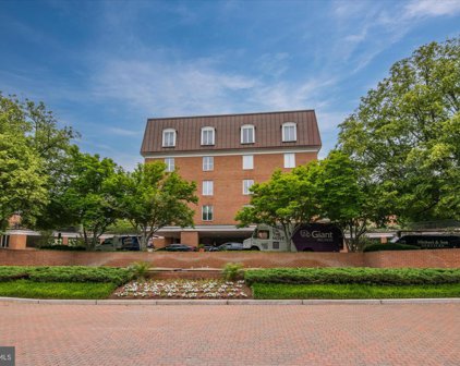 8101 Connecticut Ave Unit #N106, Chevy Chase