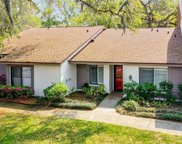 1716 Cypress Trace Drive, Safety Harbor image