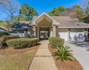 7 Sussex Lane, Hilton Head Island image