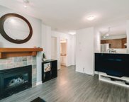 18 Smokey Smith Place Unit 303, New Westminster image