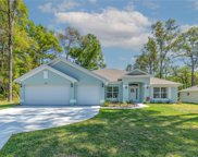 3986 Ne 58th Circle, Silver Springs image