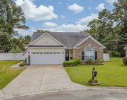1009 Gavin Ct., Myrtle Beach image