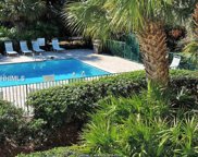 Hilton Head Island image