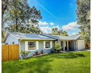 769 Mockingbird Ln, Deland image