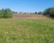 Cowherd Road, Blue Springs image