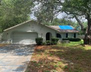 7469 Tranquil Drive, Spring Hill image