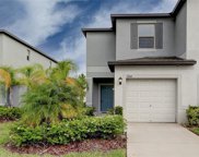 7668 Ginger Lily Court, Tampa image